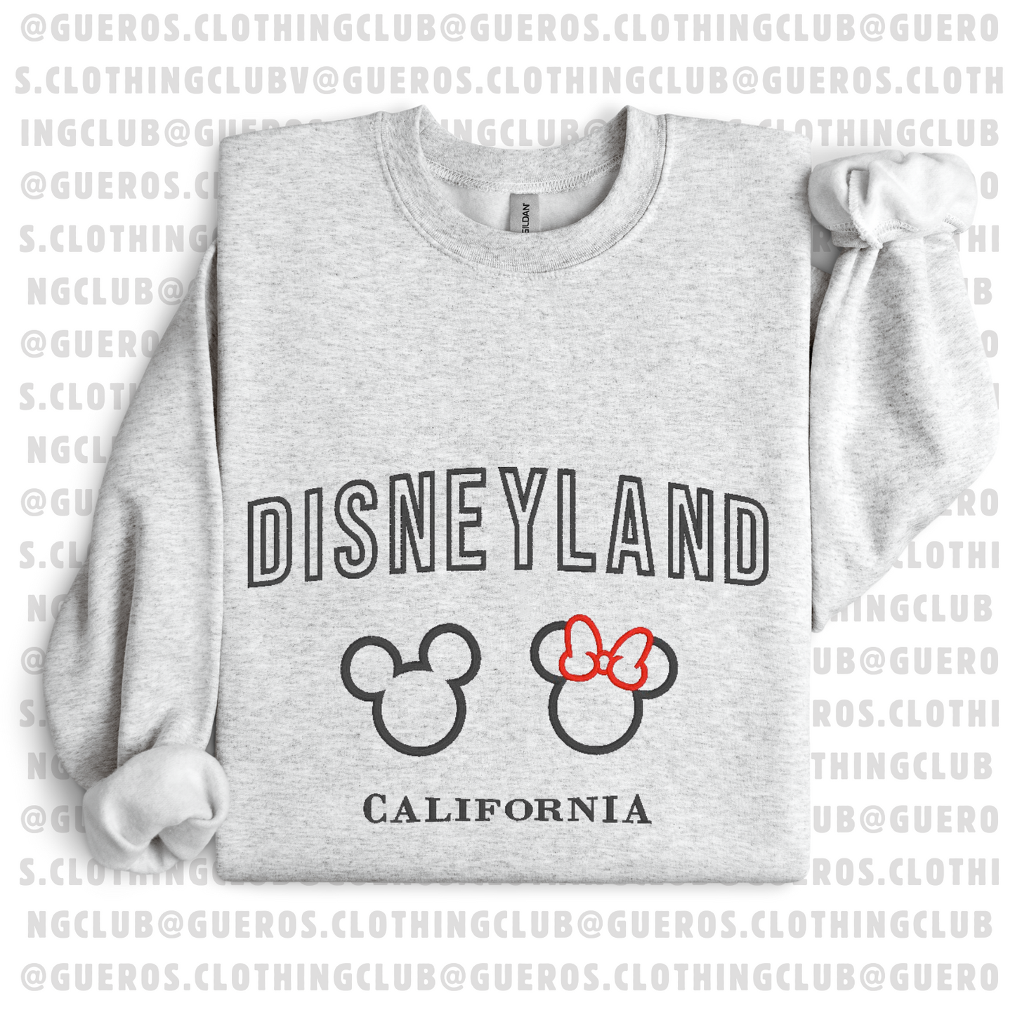DisneyLand California